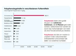Versele Junior Plus I.C.⁺ 20kg -Haustierprodukte antioxidantien 17