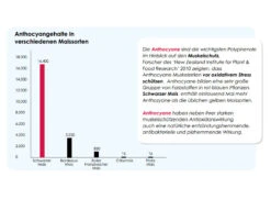 Versele Start Plus I.C.⁺ 20kg -Haustierprodukte antioxidantien 29