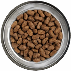 Belcando Adult Lamb & Rice 12,5kg -Haustierprodukte belcando napf adult lamb and rice 800x800 1