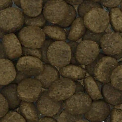 Gladen Lamm & Kartoffel 5kg