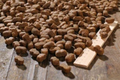 Bewi Dog Junior 12,5kg -Haustierprodukte rs2899 junior kroketten lineal img 1767b klein