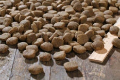 Bewi Dog H-Energy 25kg -Haustierprodukte rs2910 h energy kroketten lineal img 1786b klein