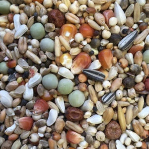 Spinne Sander Reise 25kg 1 Spinne Sander Reise 25kg