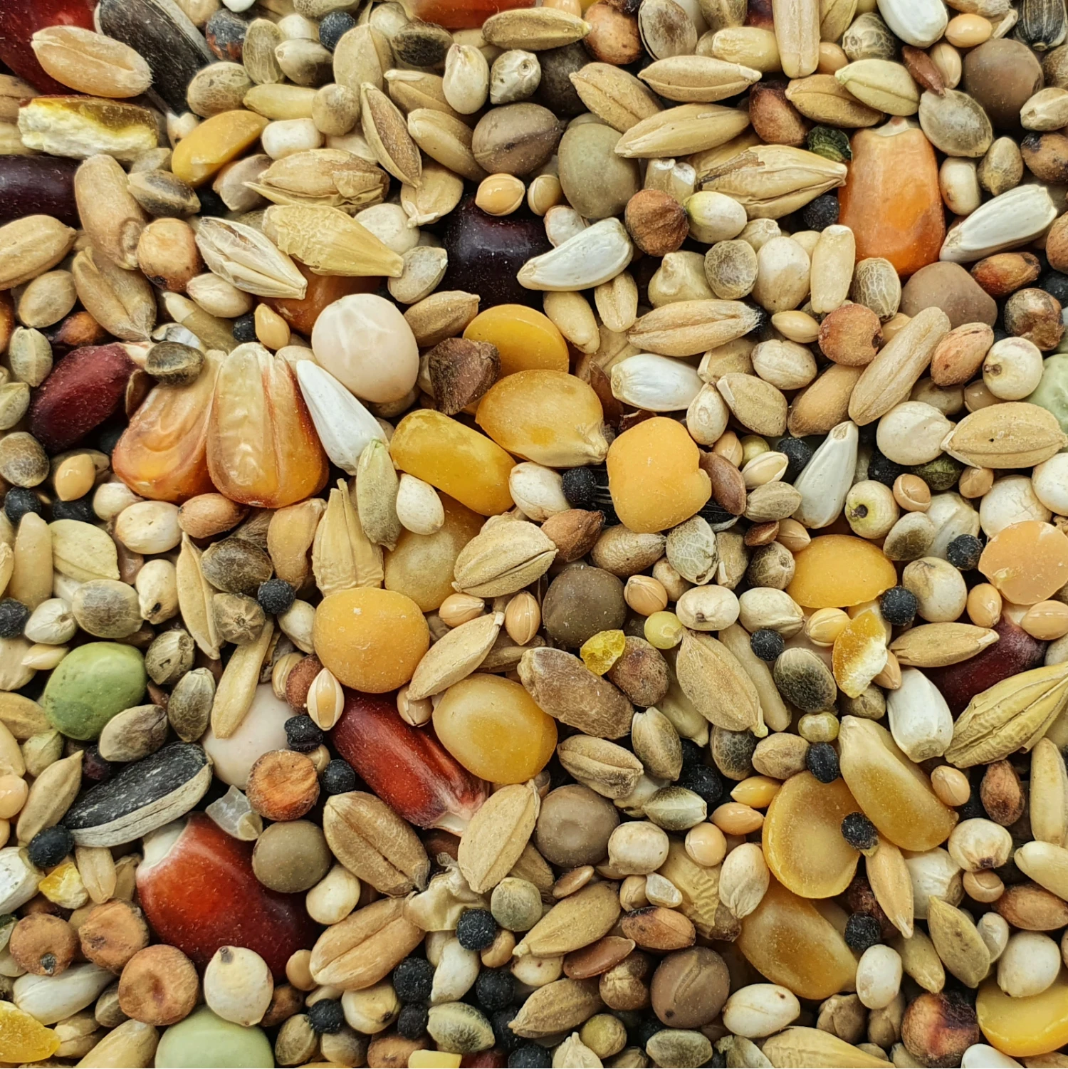 Spinne Stieneker Power 25kg 1 Spinne Stieneker Power 25kg